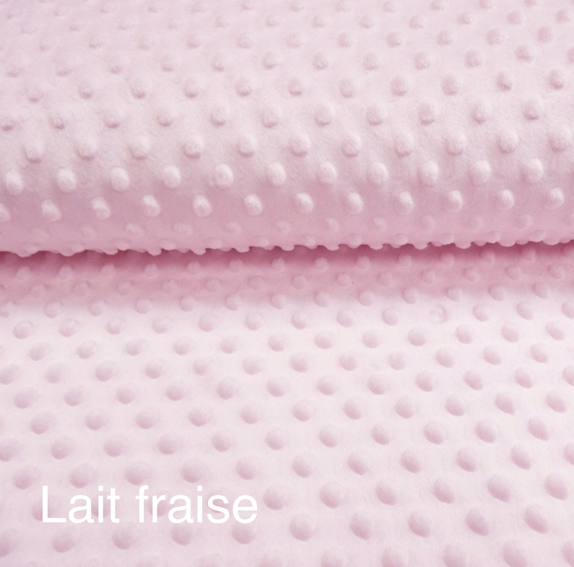 Lapin maxi – Image 24