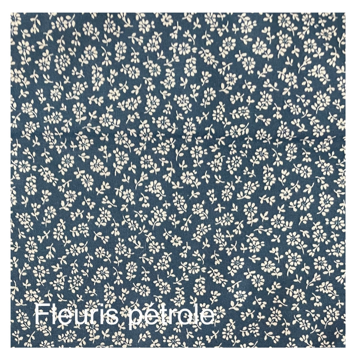 Lapin maxi – Image 44