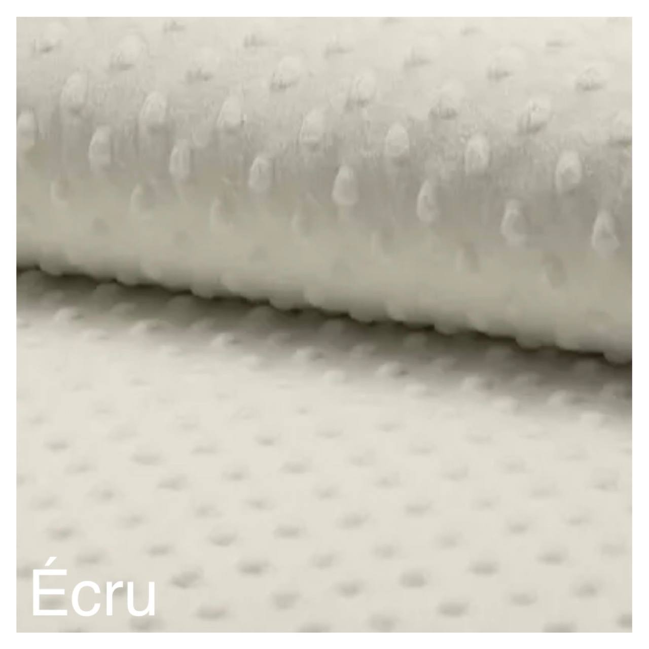 Lapin maxi – Image 23