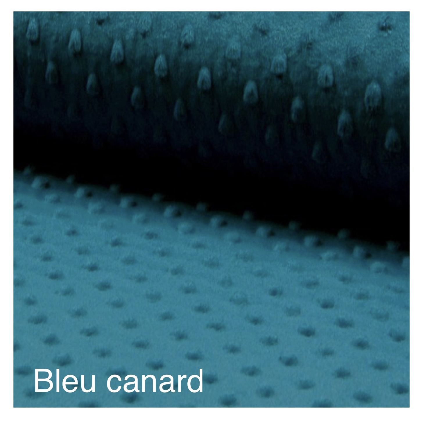 Lapin maxi – Image 27