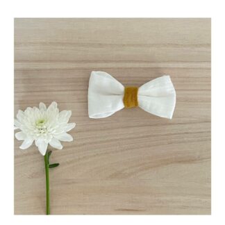 Noeud papillon adulte