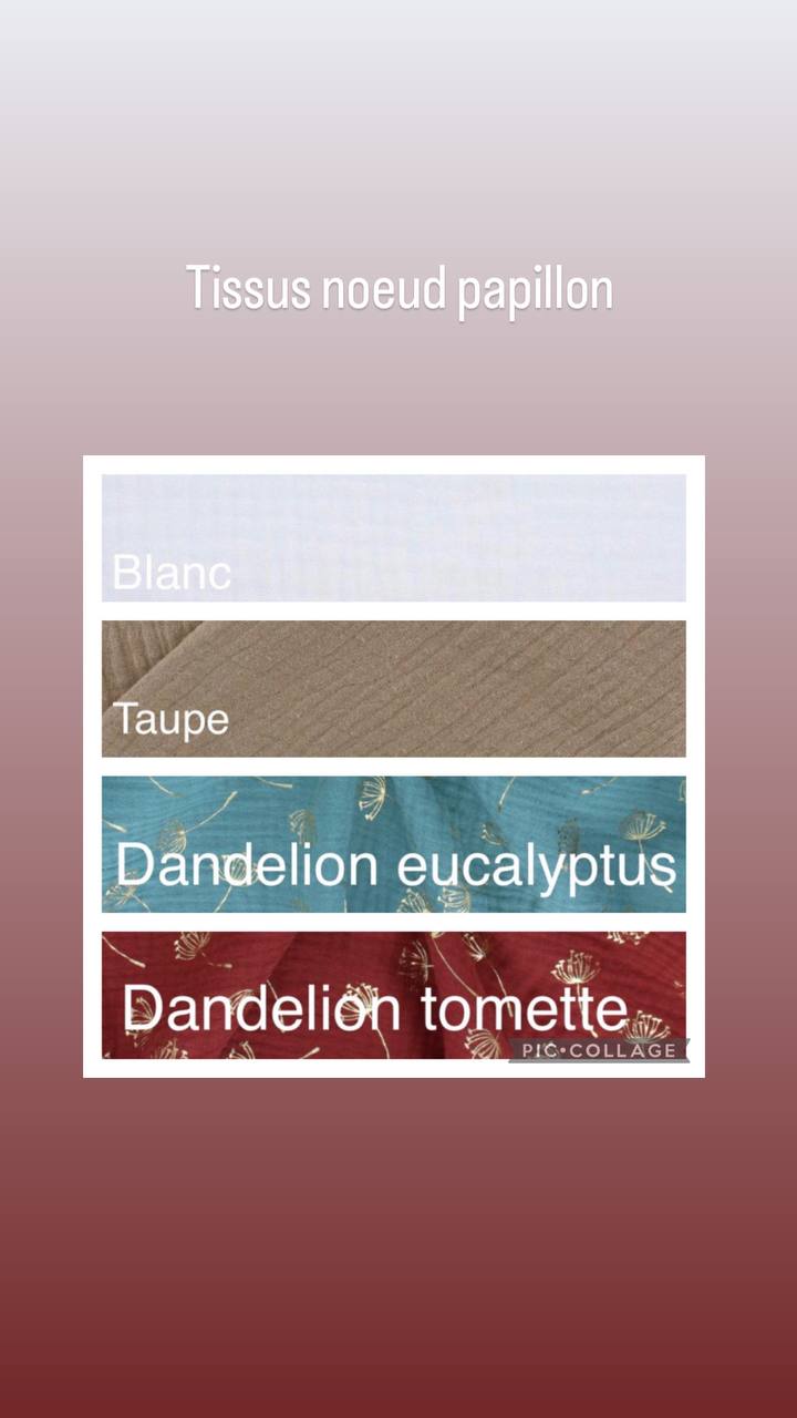 Noeud papillon adulte – Image 8