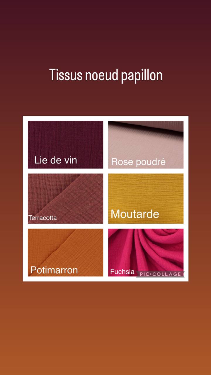 Noeud papillon adulte – Image 7